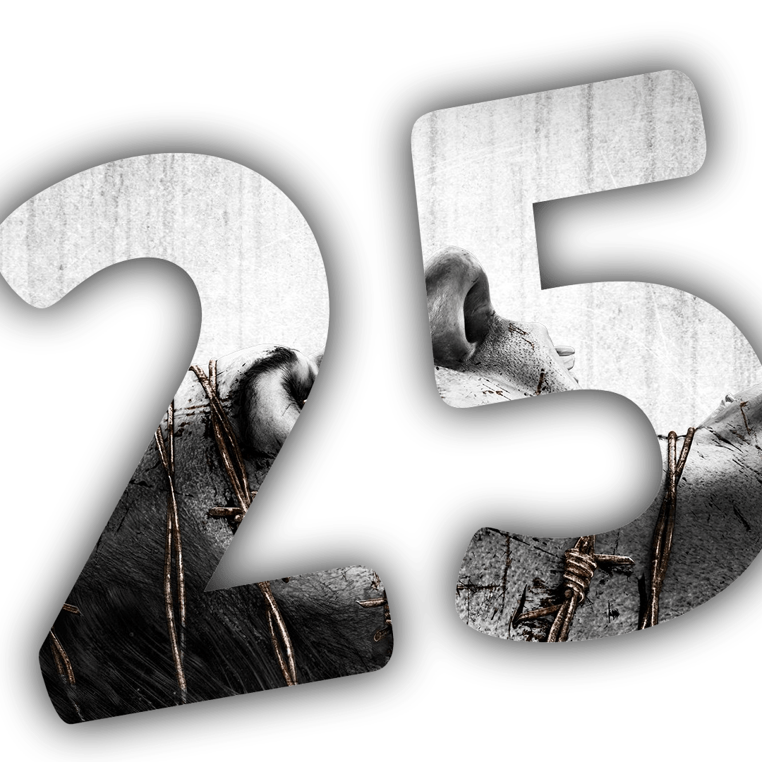 The Evil Within 25% Index FanContent