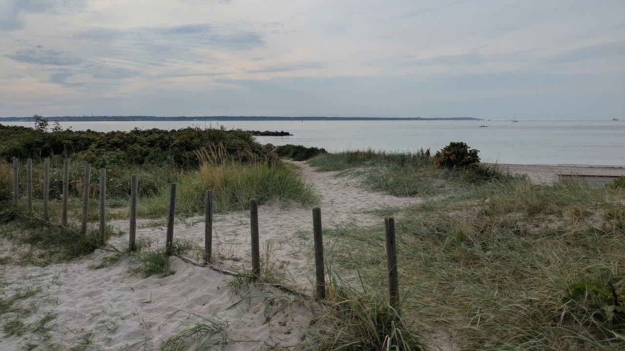 Am I in a Relationship with a Narcissist Cover