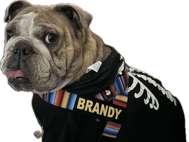 Brandy