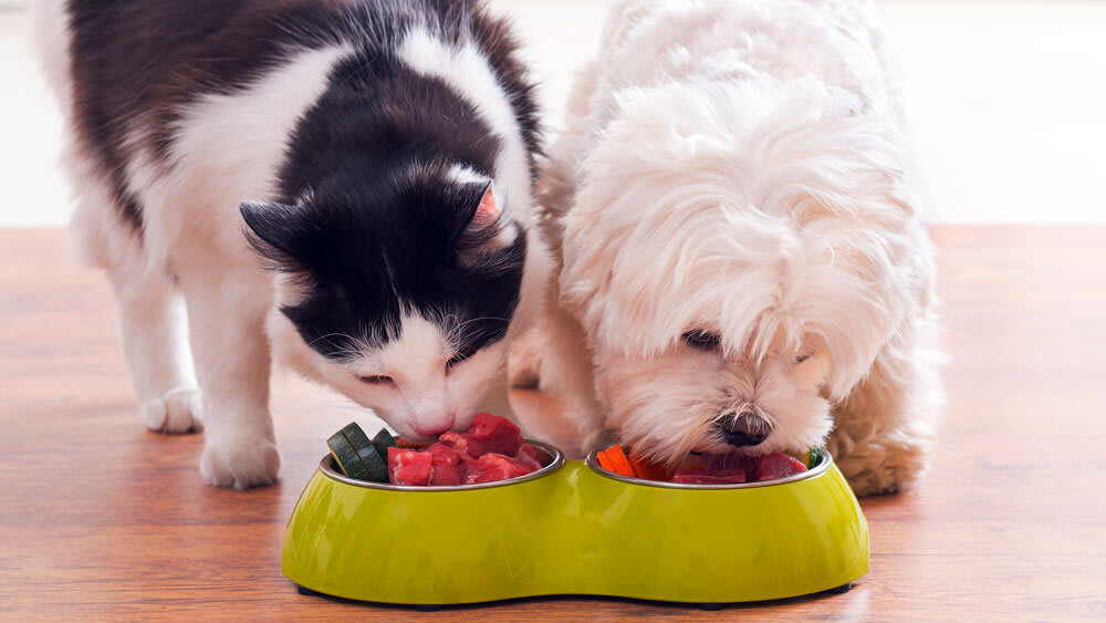 RVC_Pet-Nutrition