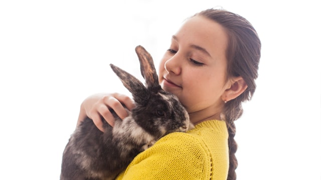 Hastings-Veterinary-Hospital-Fun-Things-You-Can-Do-with-Your-Pet-Rabbit-Indoors