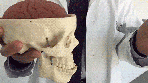 head injury