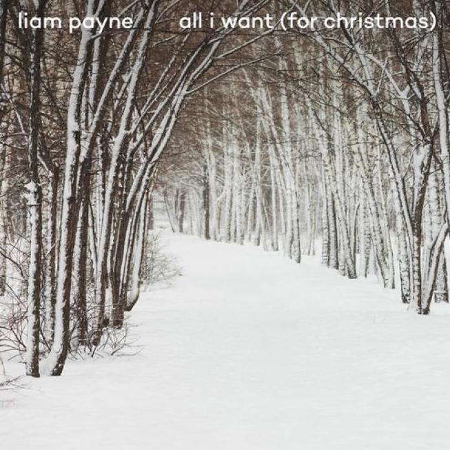 Liam Payne - All I Want (For Christmas)