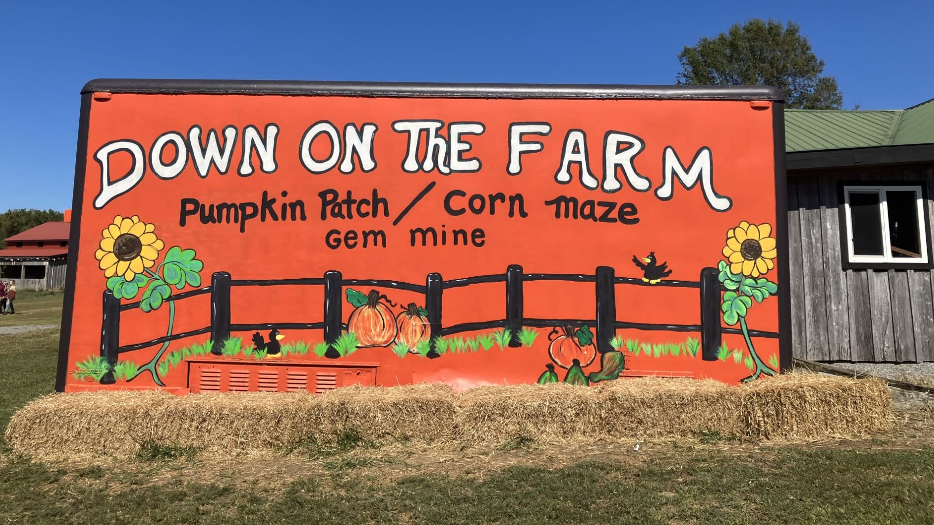 down on the farm