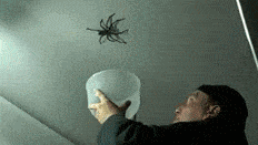 Spider bucket