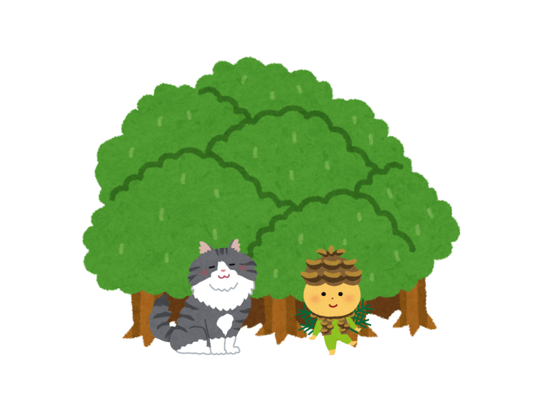 book buddy quiz elements (1080 x 812 px) - 12