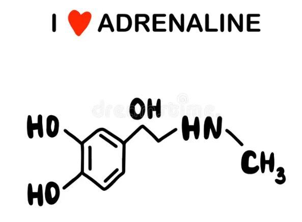 I love adrenaline