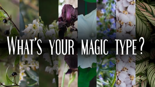 What’s your magic type