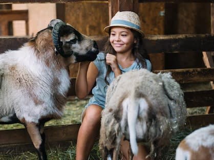 vraag 3 antw 1 tussen dieren