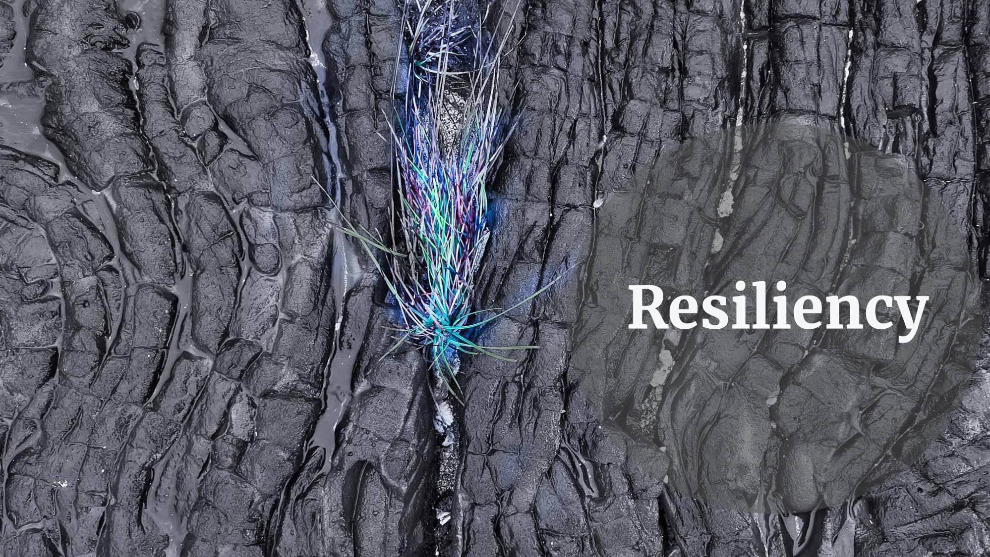 resiliency