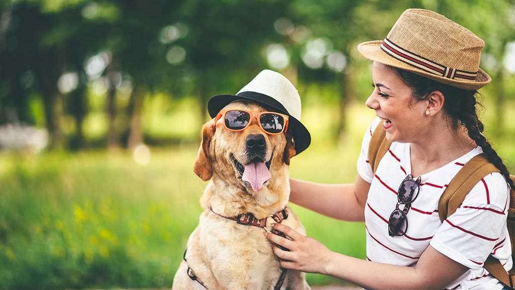 img-How-to-Make-Dressing-Up-Your-Pet-Easy-_-Fun
