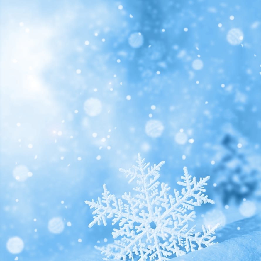 shutterstock_2365888789