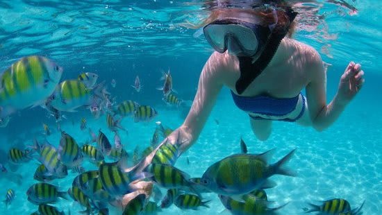 snorkeling