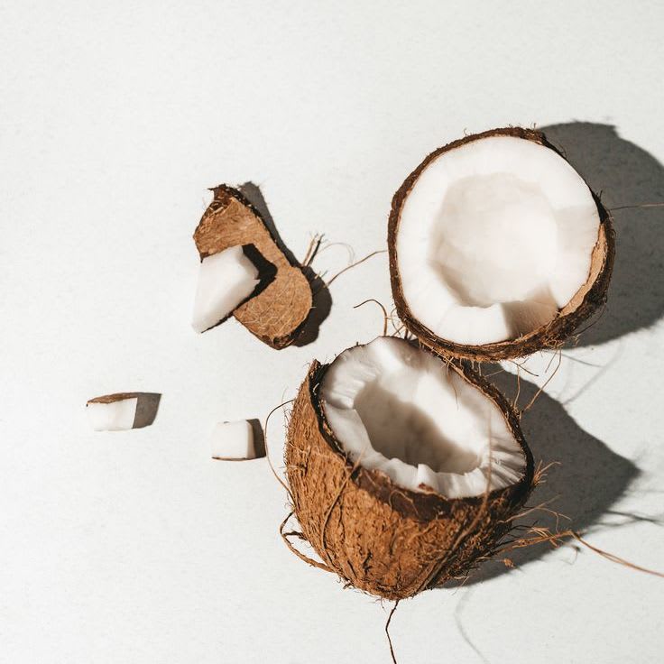 coconut