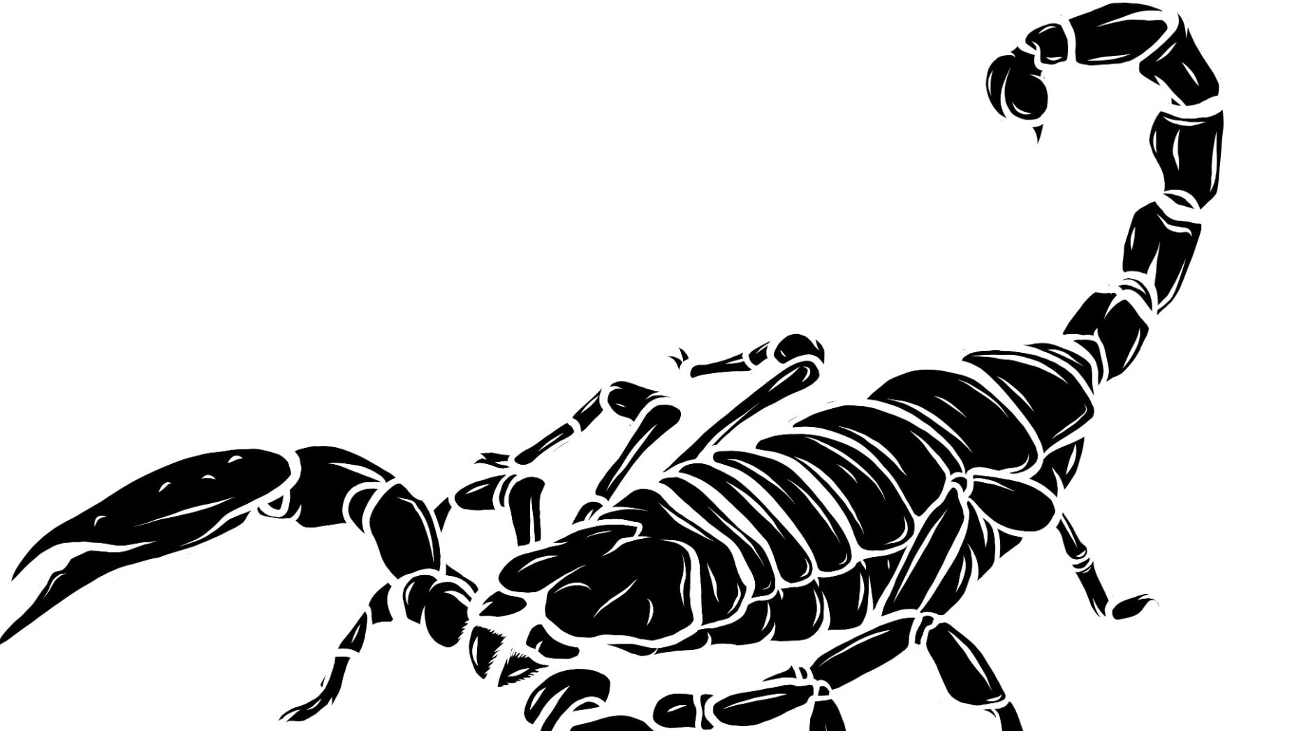 AdobeStock_384784672