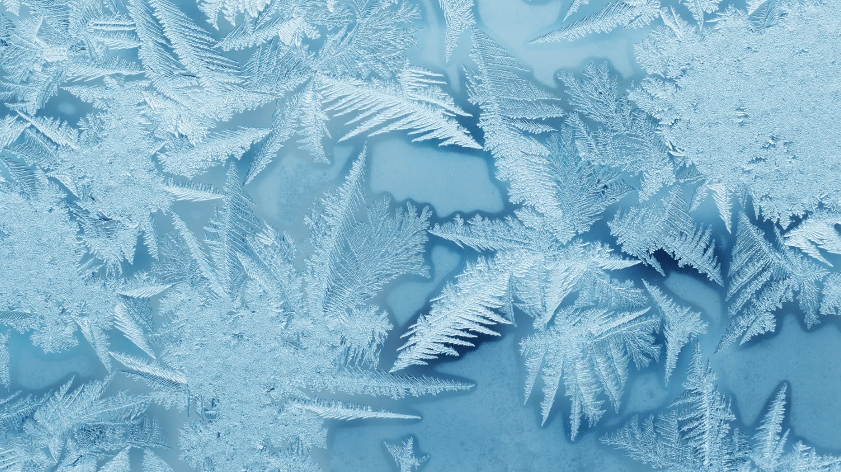 AdobeStock_245752055