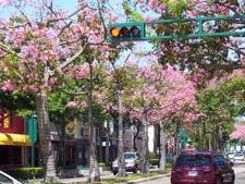 Downtown%20Fullerton_Flickr