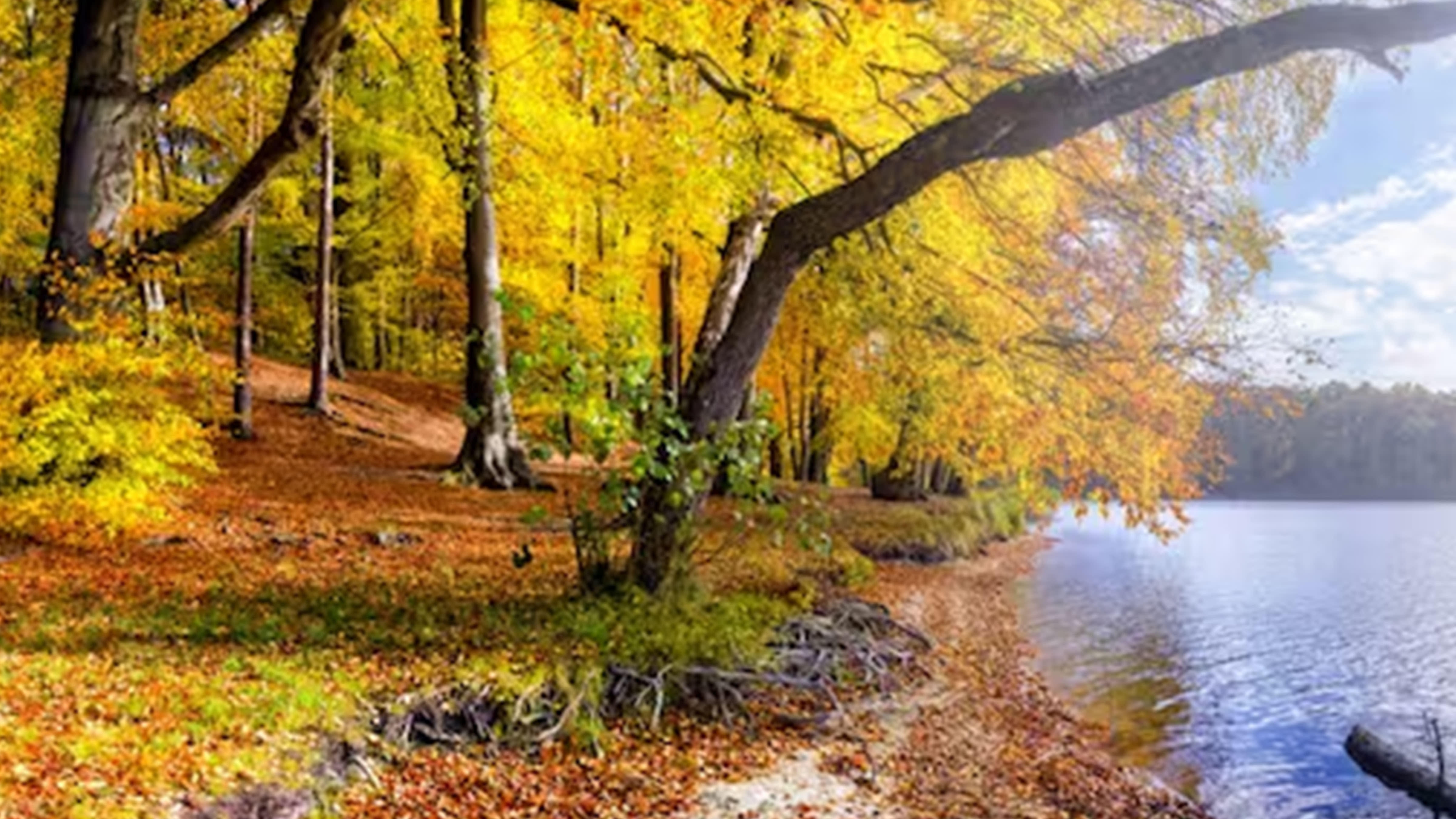 Herbstsommer