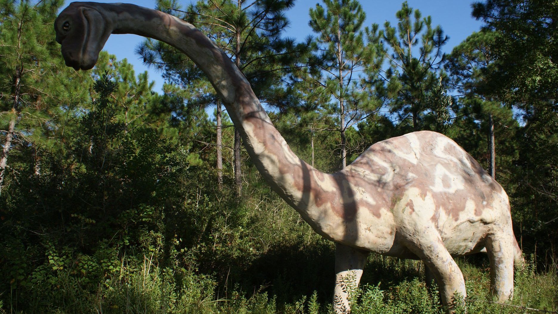 Dinosaurs in the Woods