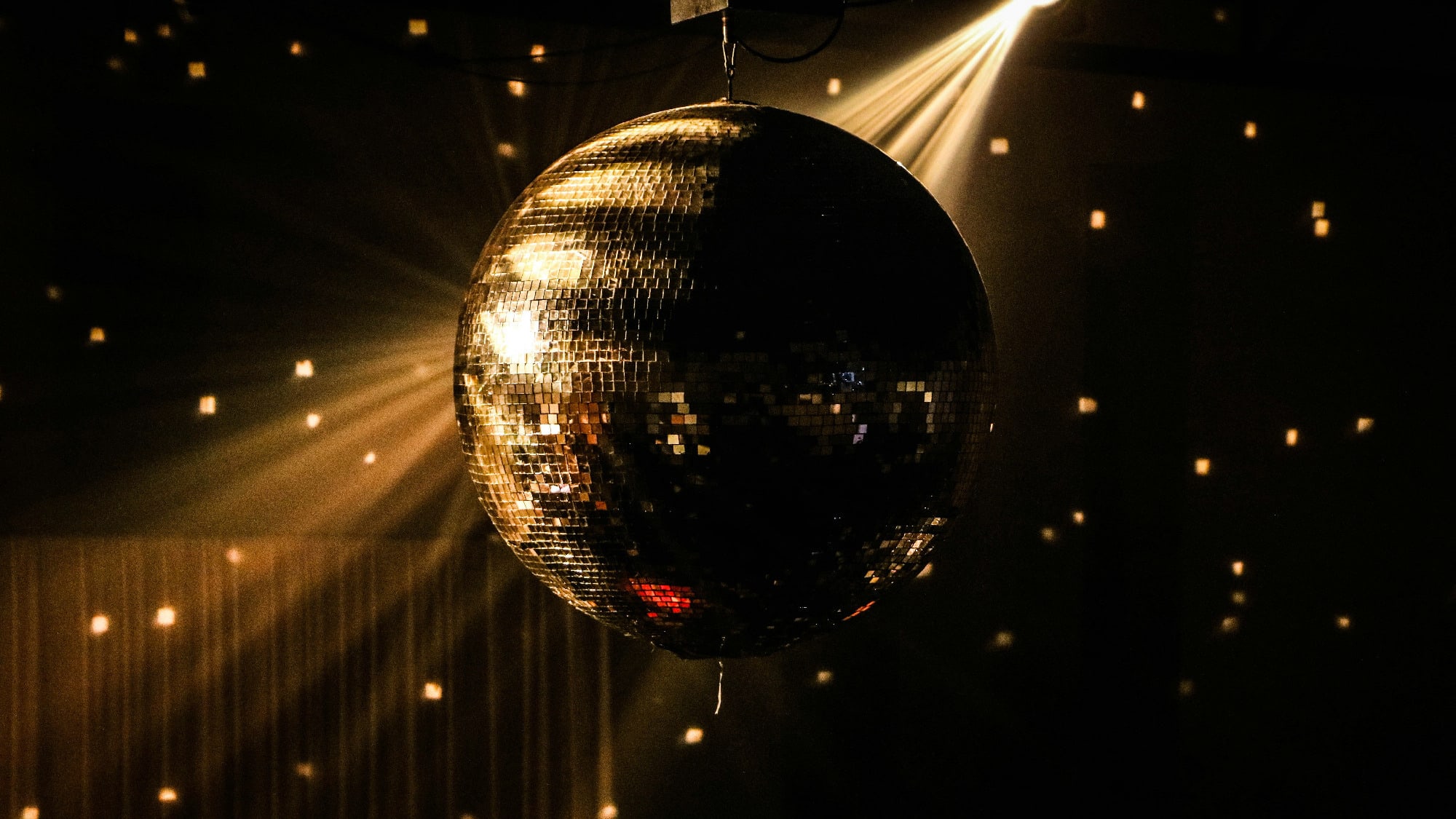 🛡️ Party Paladin Himbo