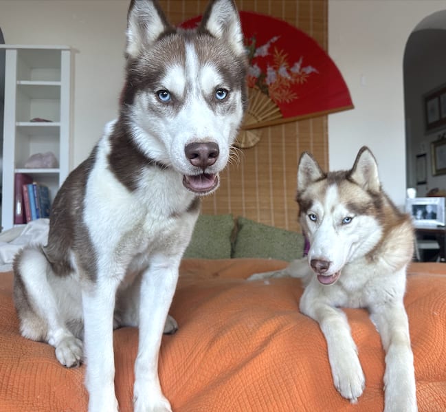 Screenshot 2025-11-13 at 4