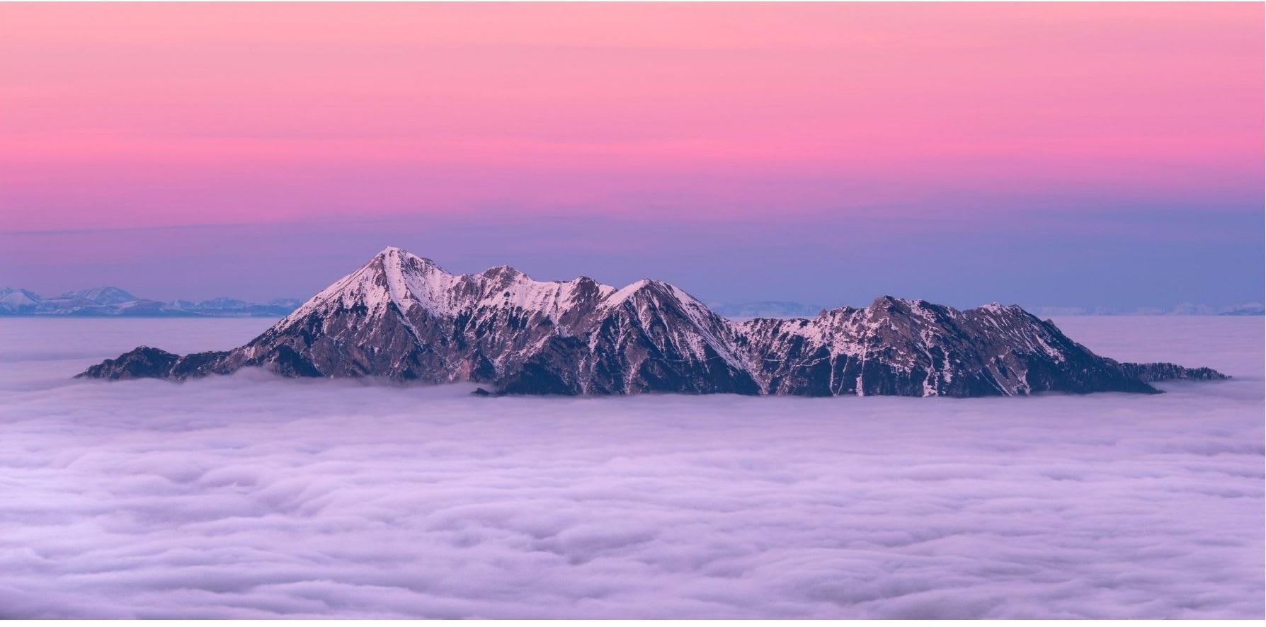 singani, pisco, grappa