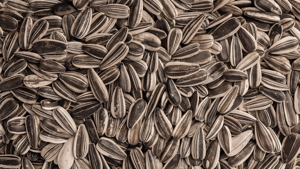 shutterstock_2480994351