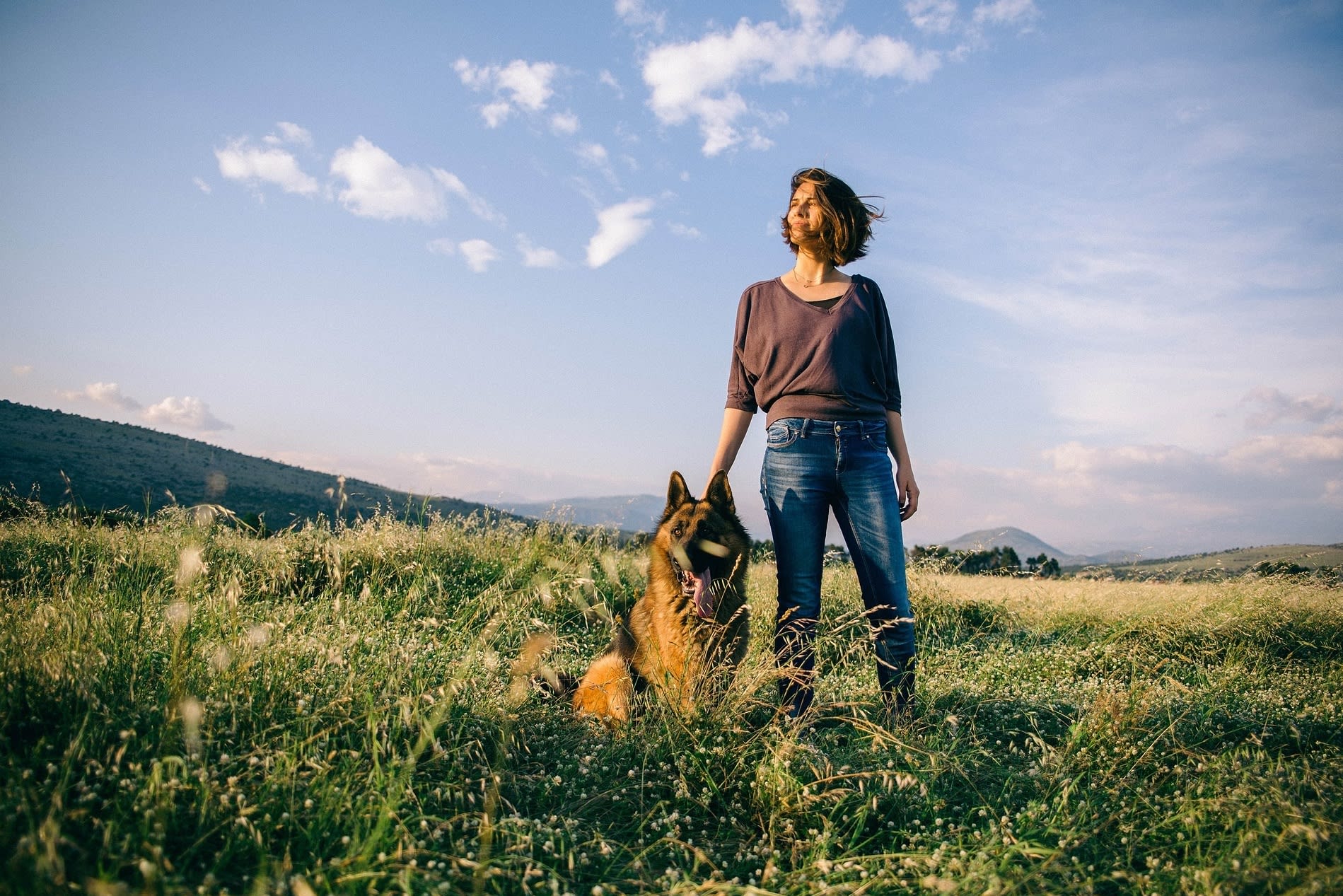 Supportive Shepherd