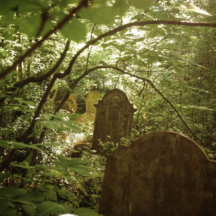 Screenshot 2025-10-11 at 1