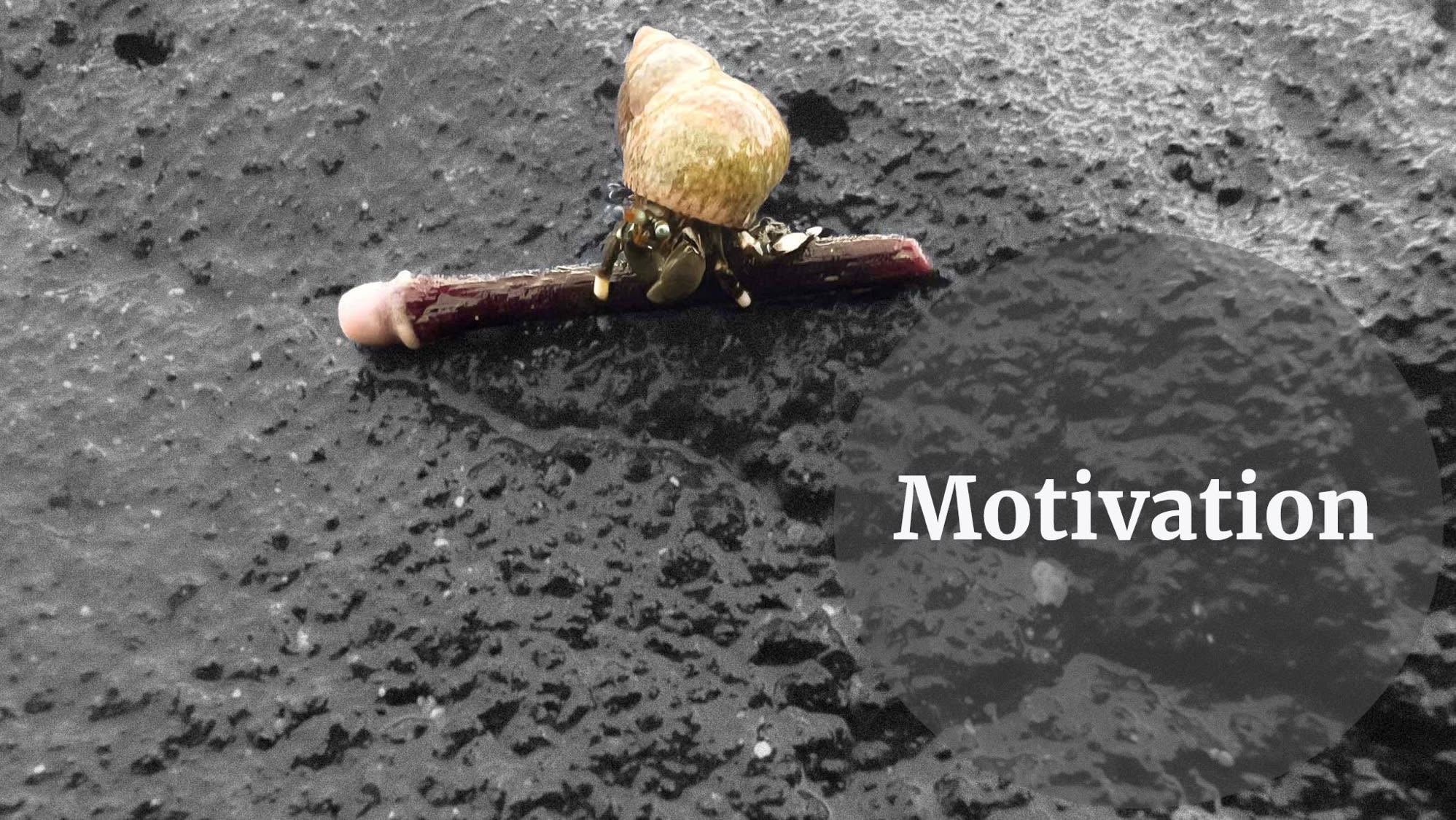 motivation