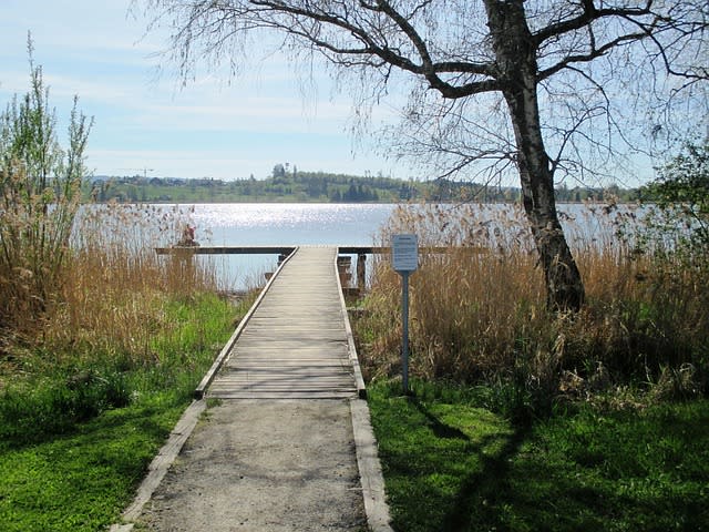 143710-lake-321571_640