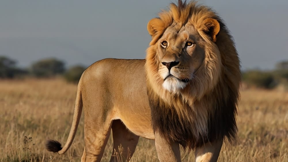 shutterstock_2482067871