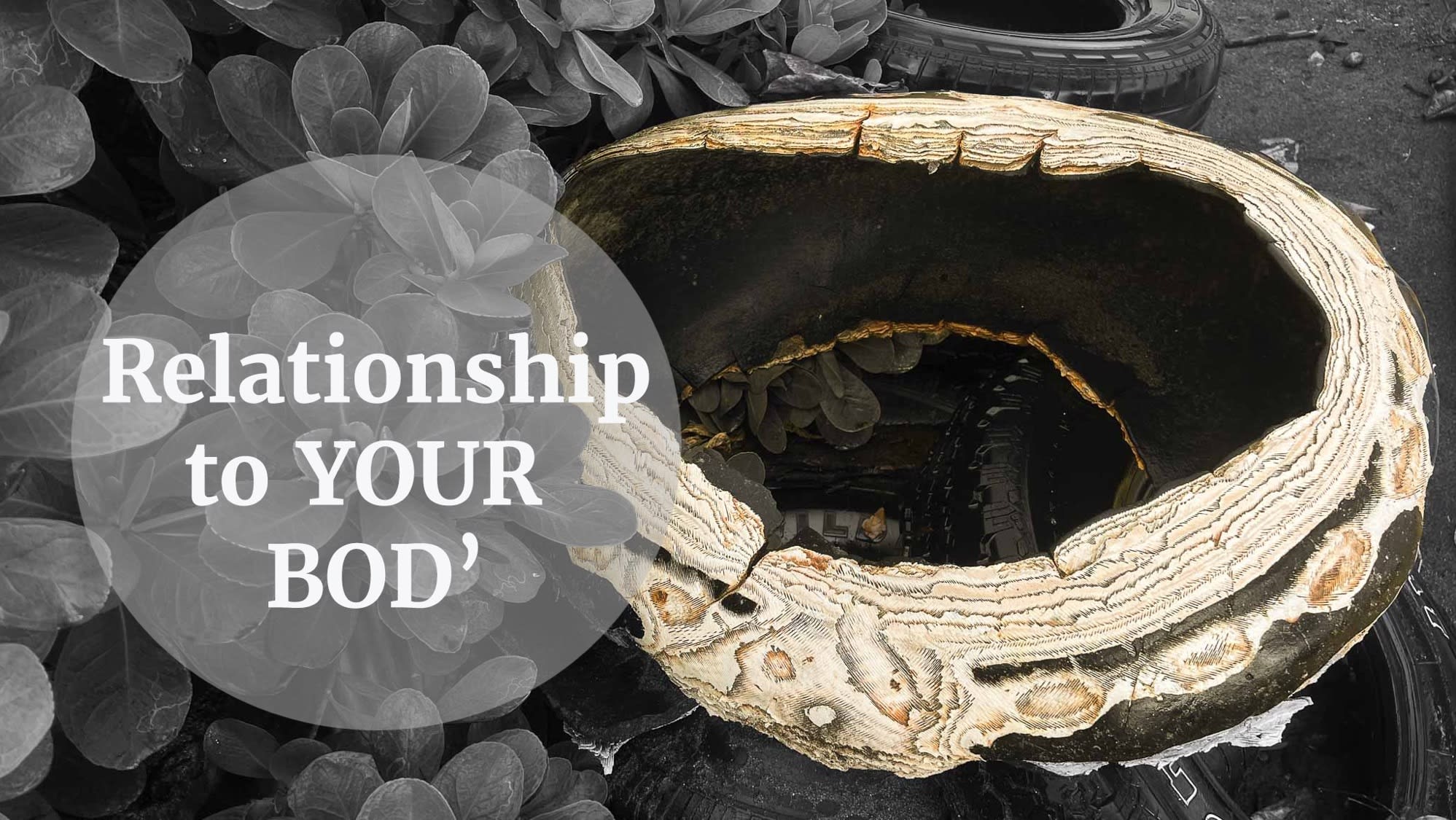 body relationship