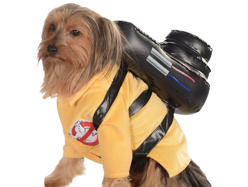 1693406841-funny-dog-costumes-ghostbusters-64ef564ce0a20