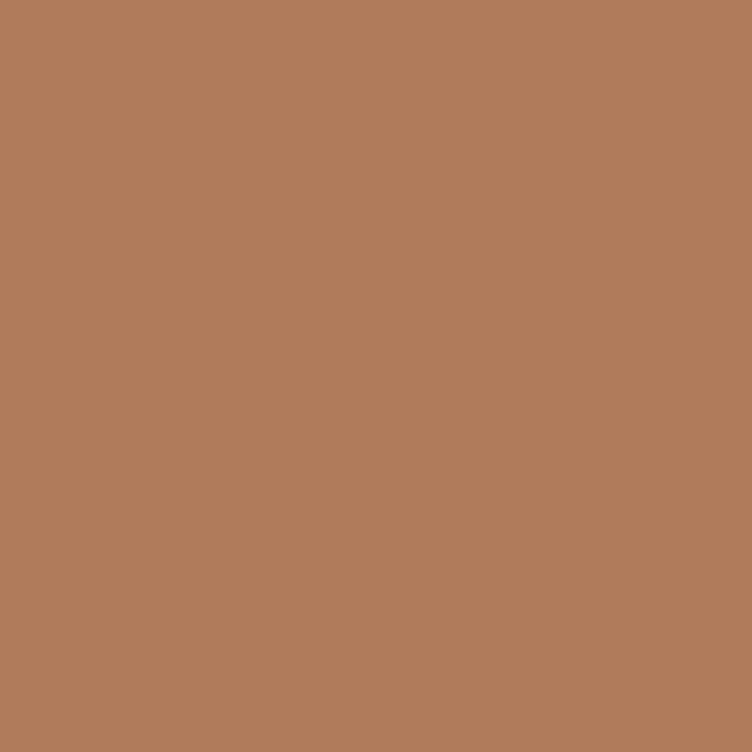 raw umber 1