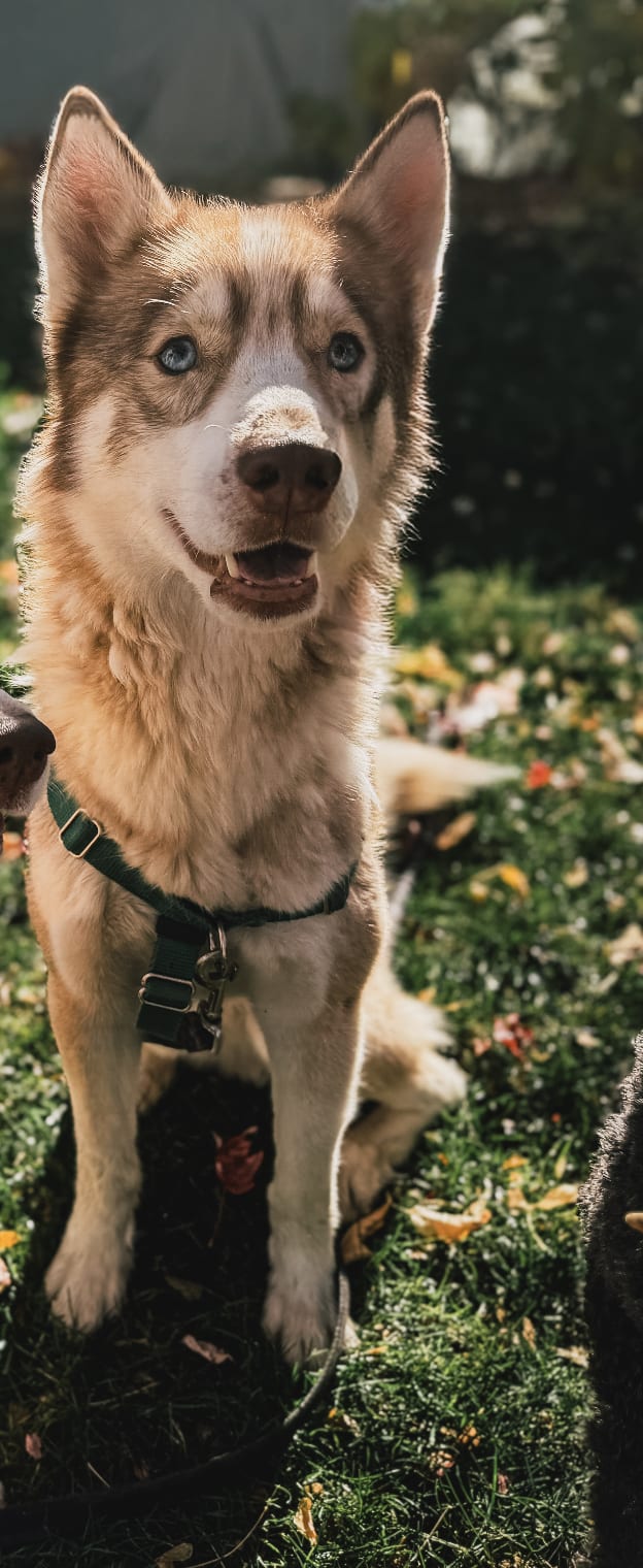 Akasha+Cosmo 3yrs 2025 photo by ShaynaLarsen copy