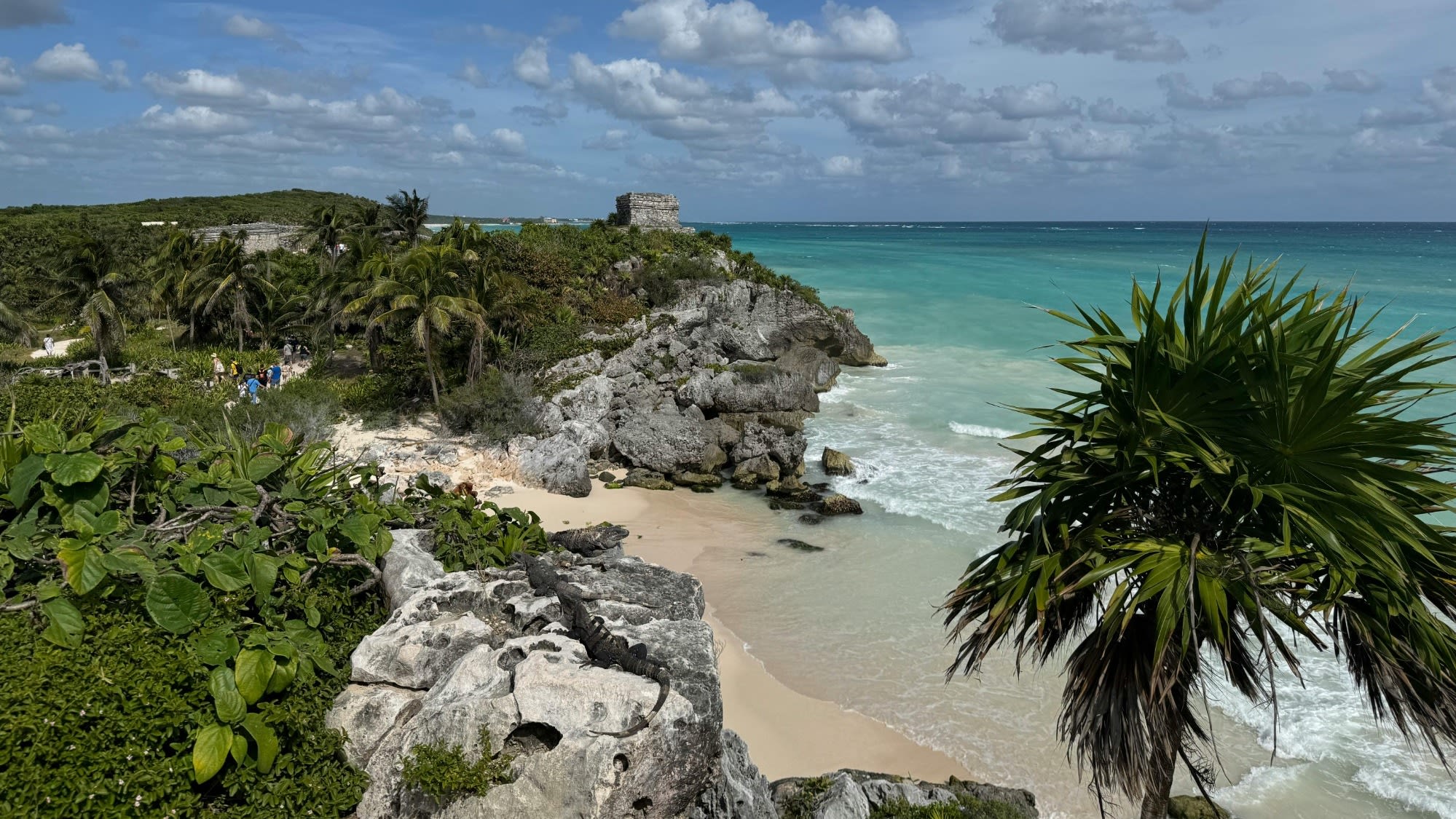 pexels-karim-hallab-2153472377-32865198