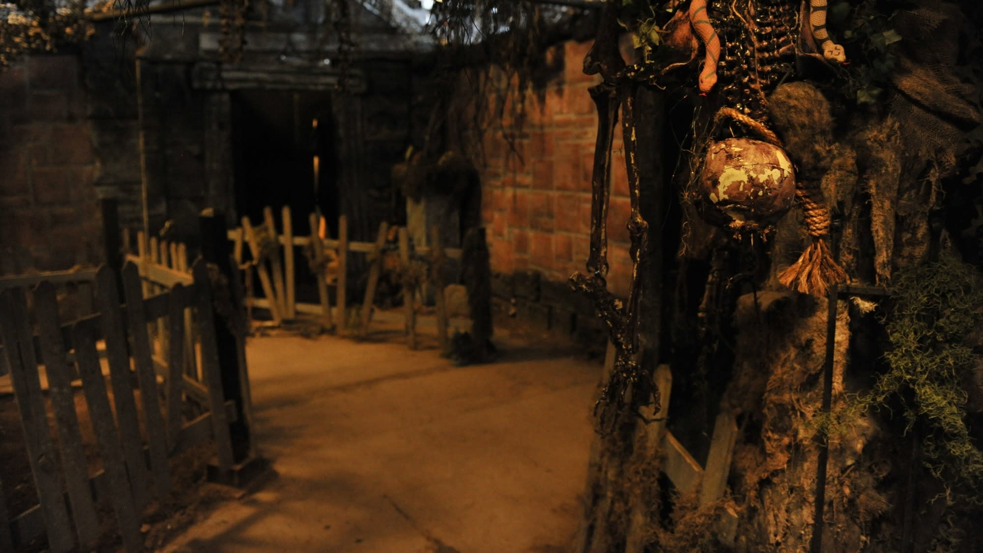 Warehouse 31 Ready to Scare (1)