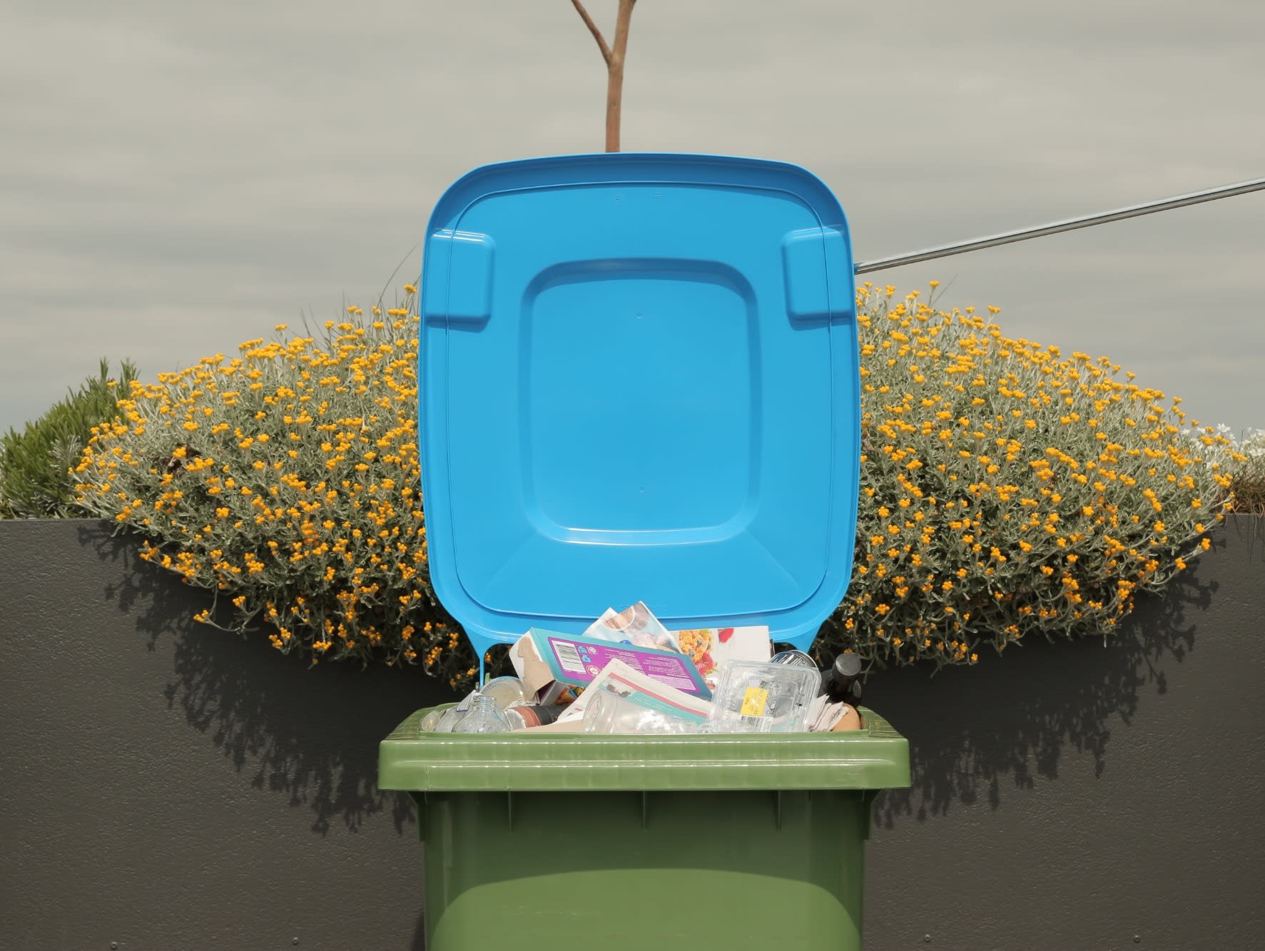 Recycling bin - lid open with recyclables