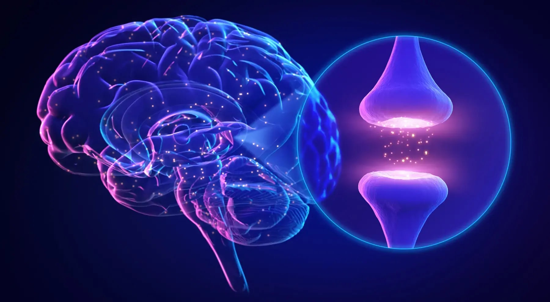 1800x1200-neuroplasticity-ref-guide