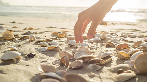 istockphoto-547538436-612x612