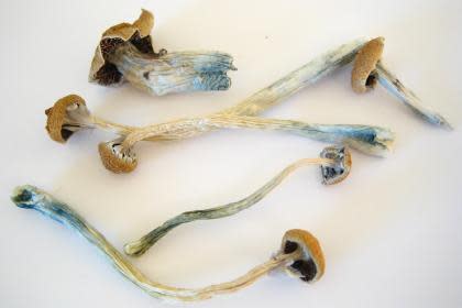 mushrooms