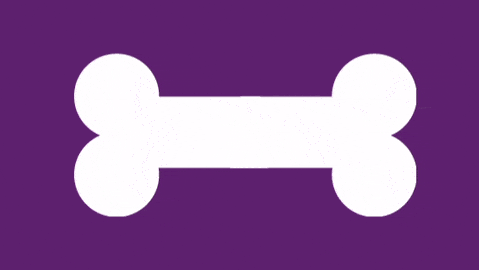 giphy