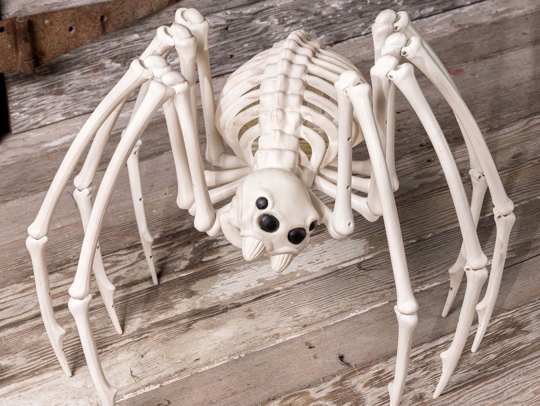42-inch-skeleton-spider-halloween-decoration-alt-2