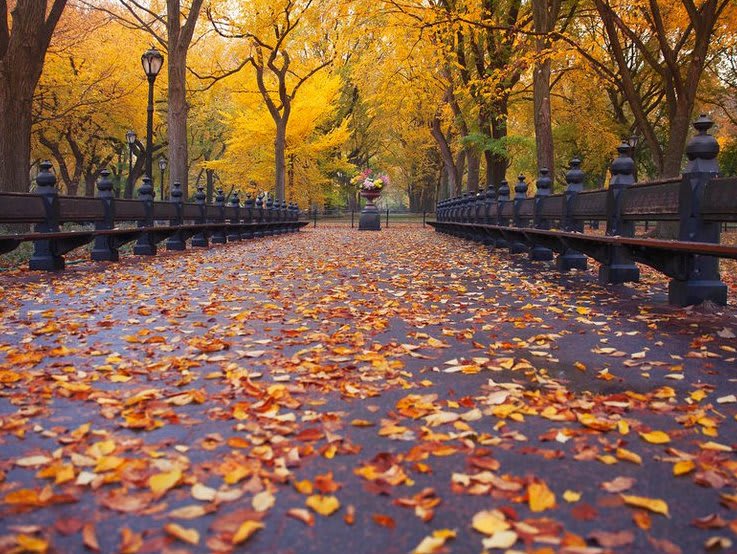 mall-fall