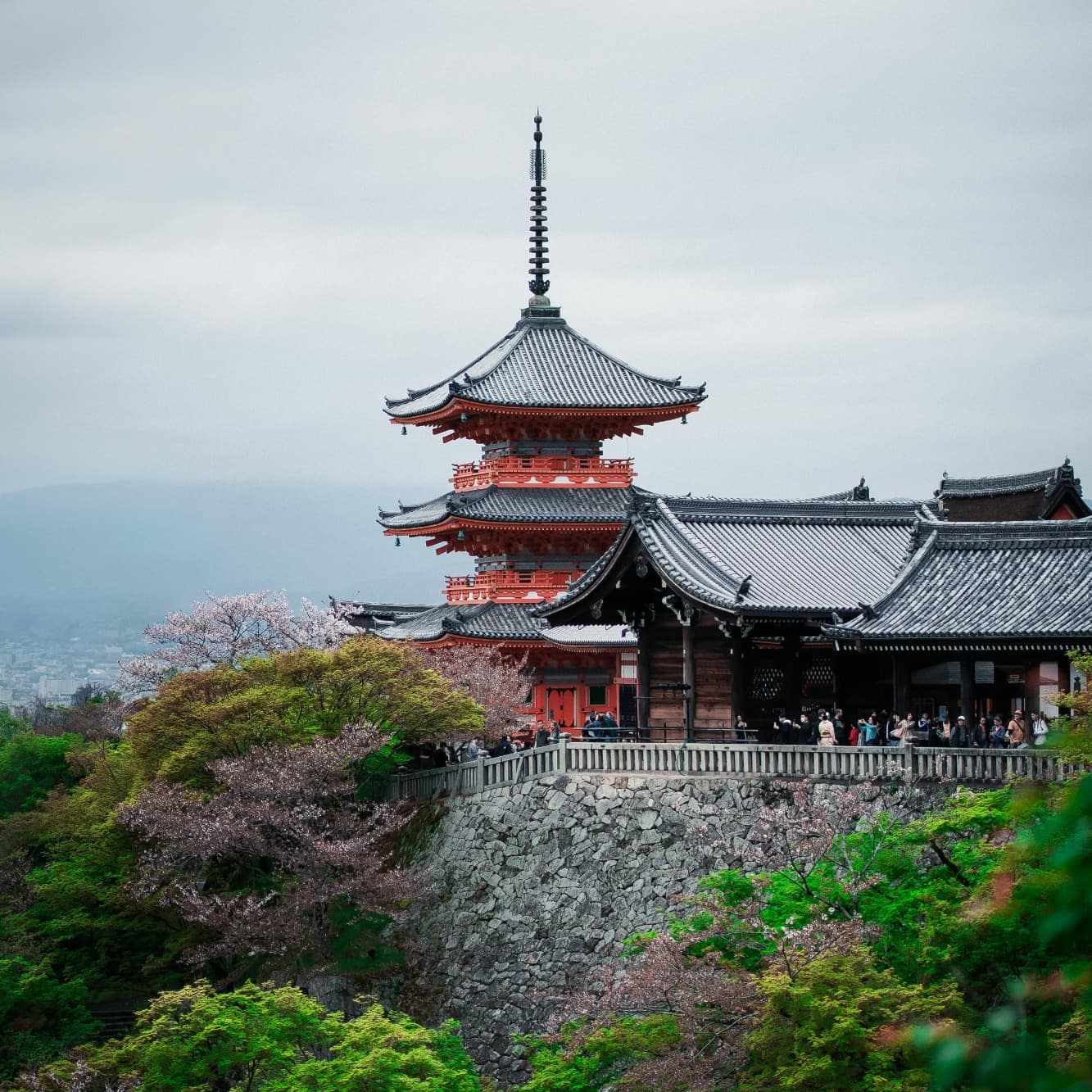 dawtzzarleb2b716ntd4