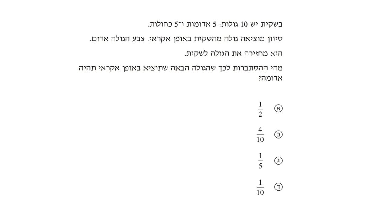 Image 07-12-2024 at 19