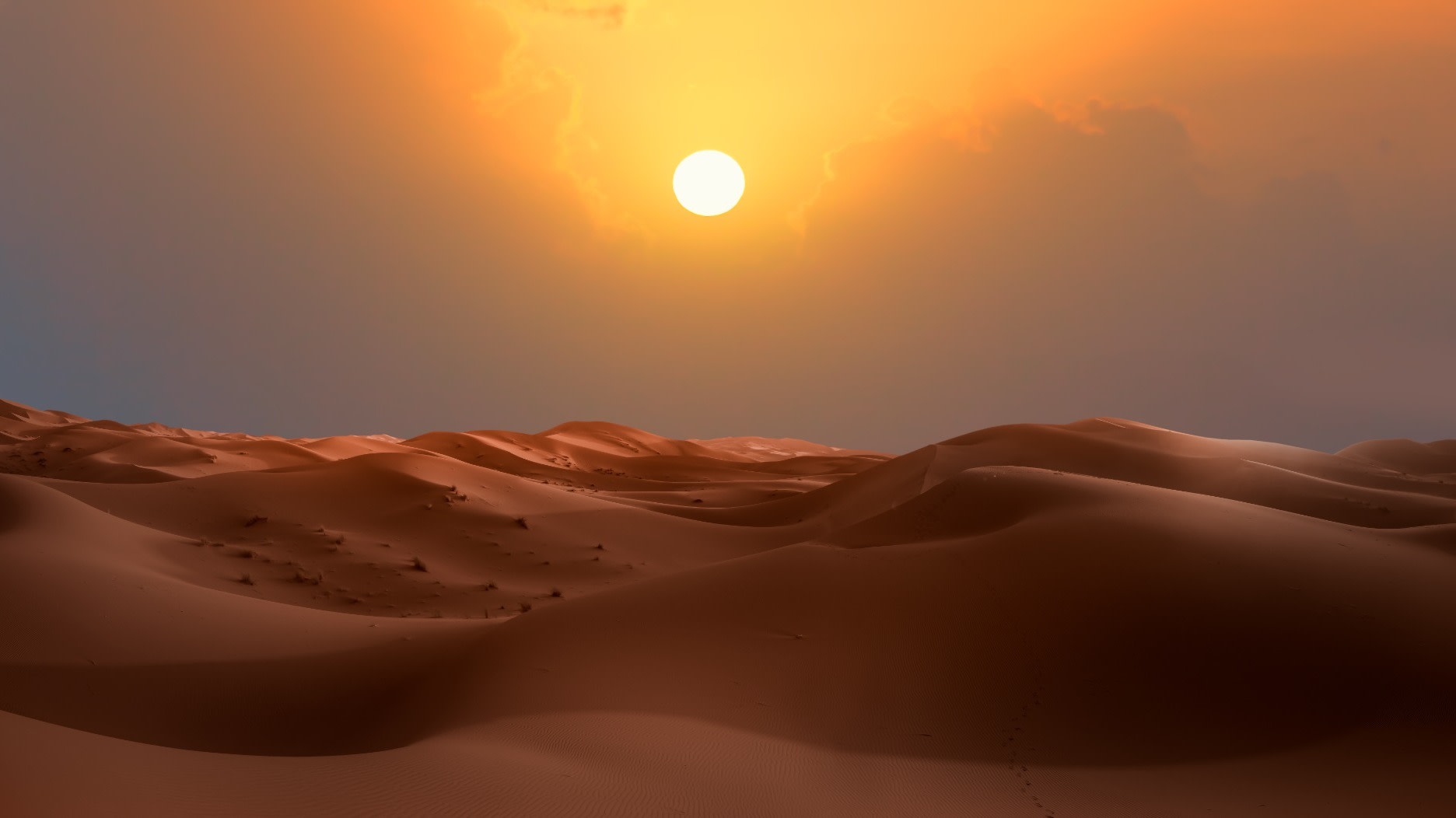 shutterstock_2480327857