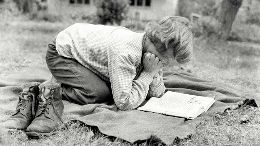 	נדב מן, ביתמונה