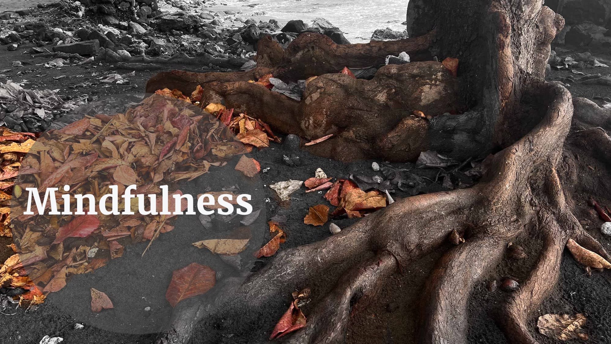 mindfulness